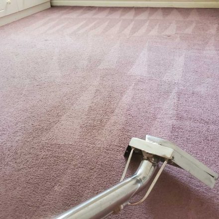 Basement Suite Carpet Cleaning Coquitlam BC Canada