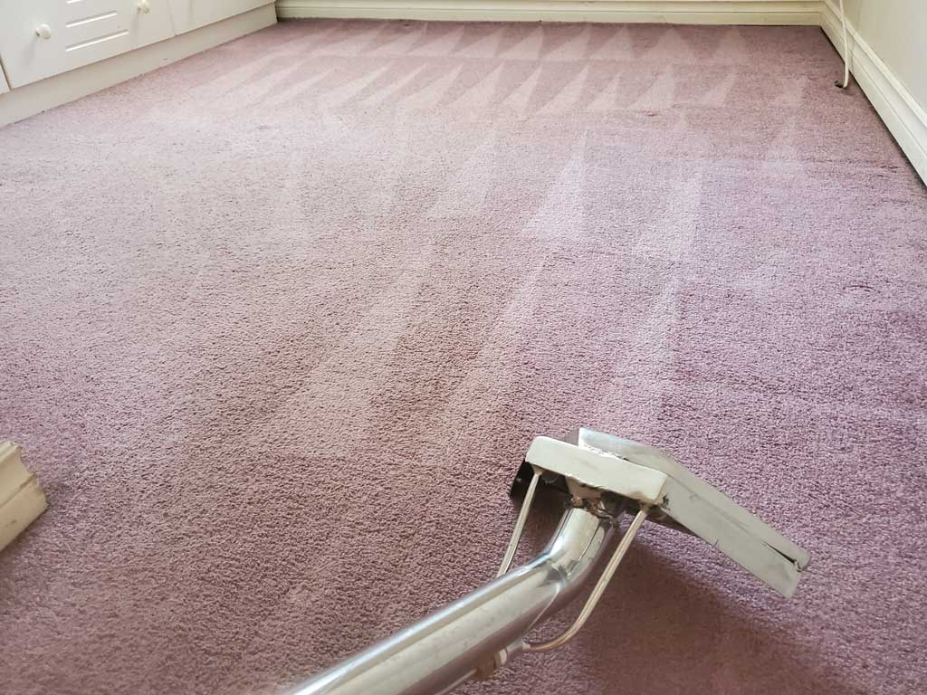 Basement Suite Carpet Cleaning Coquitlam BC Canada