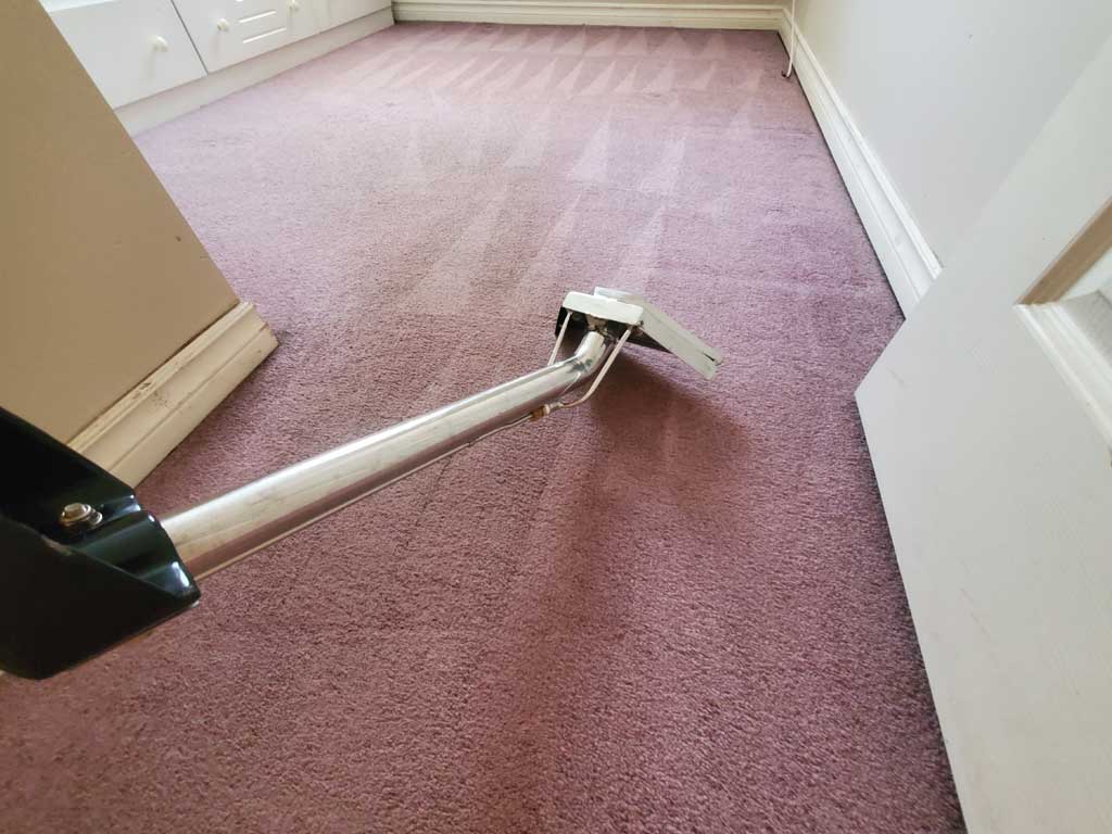 Basement Suite Carpet Cleaning Coquitlam BC Canada