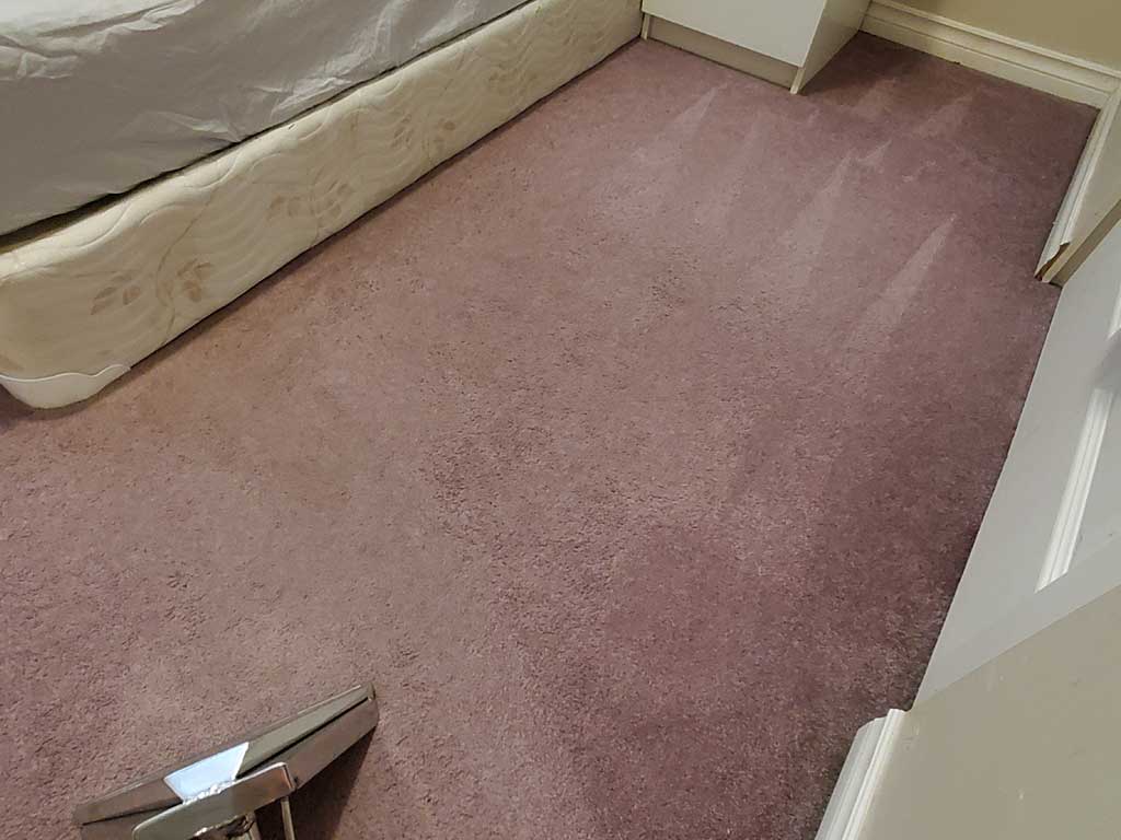 Basement Suite Carpet Cleaning Coquitlam BC Canada