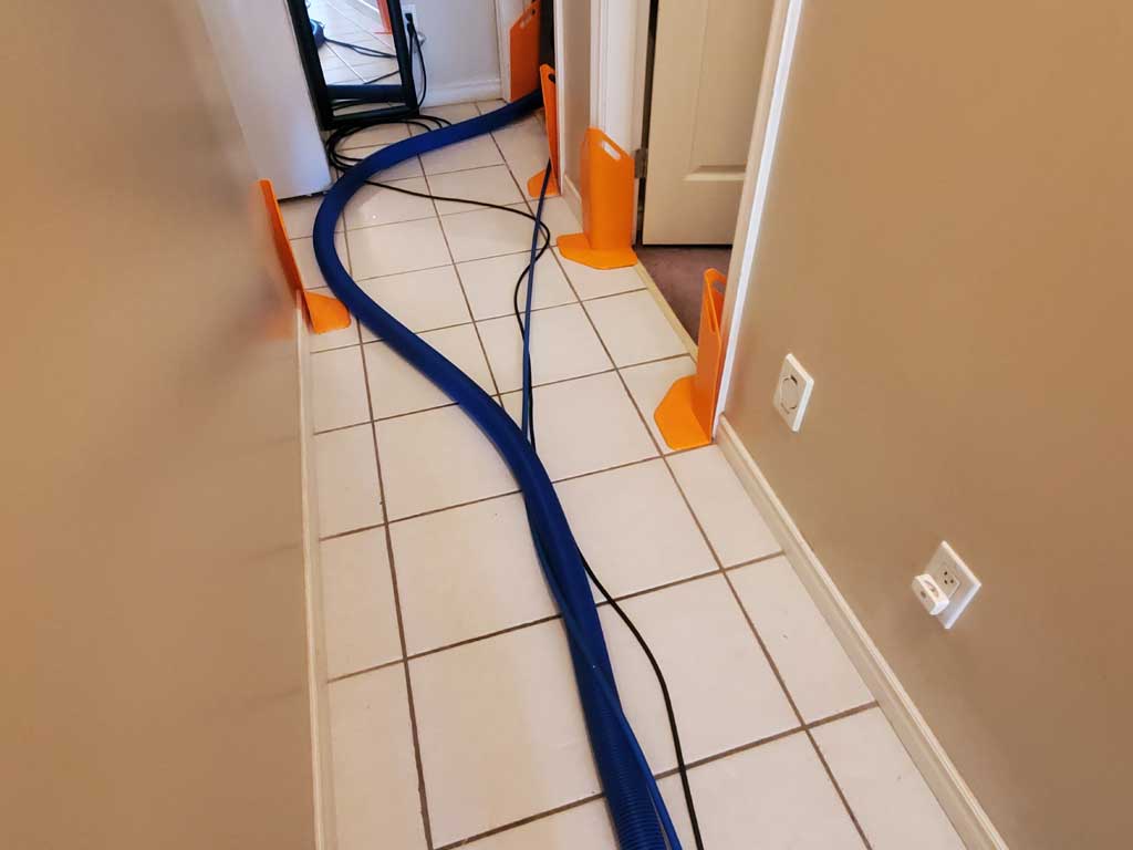 Basement Suite Carpet Cleaning Coquitlam BC Canada