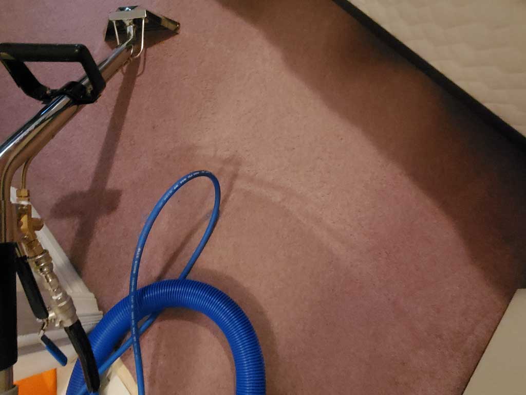 Basement Suite Carpet Cleaning Coquitlam BC Canada