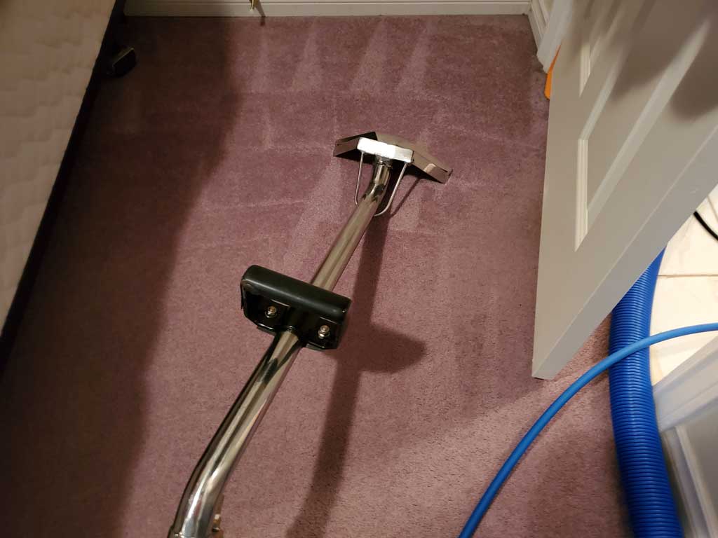 Basement Suite Carpet Cleaning Coquitlam BC Canada