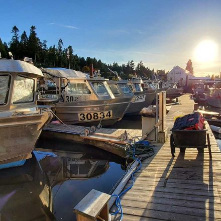 Black Mold Removal From the Interior of a Boat Located in White Rock BC Canada