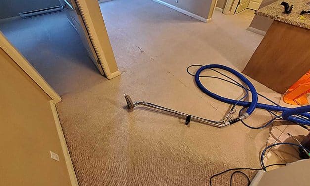 Carpet Cleaning a Bedroom and Living Room in a Condo Located in New Westminster BC Canada