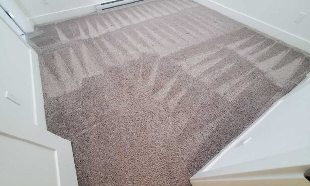 Carpet Cleaning a Townhouse Located in Langley BC Canada