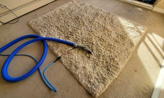 Carpet Cleaning Area Rug Cleaning in a Condo Located in Burnaby BC Canada