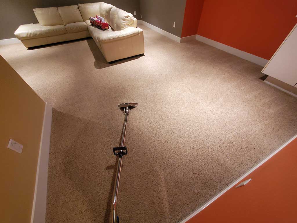 Carpet Cleaning Entertainment Room Basement of a House Surrey BC Canada