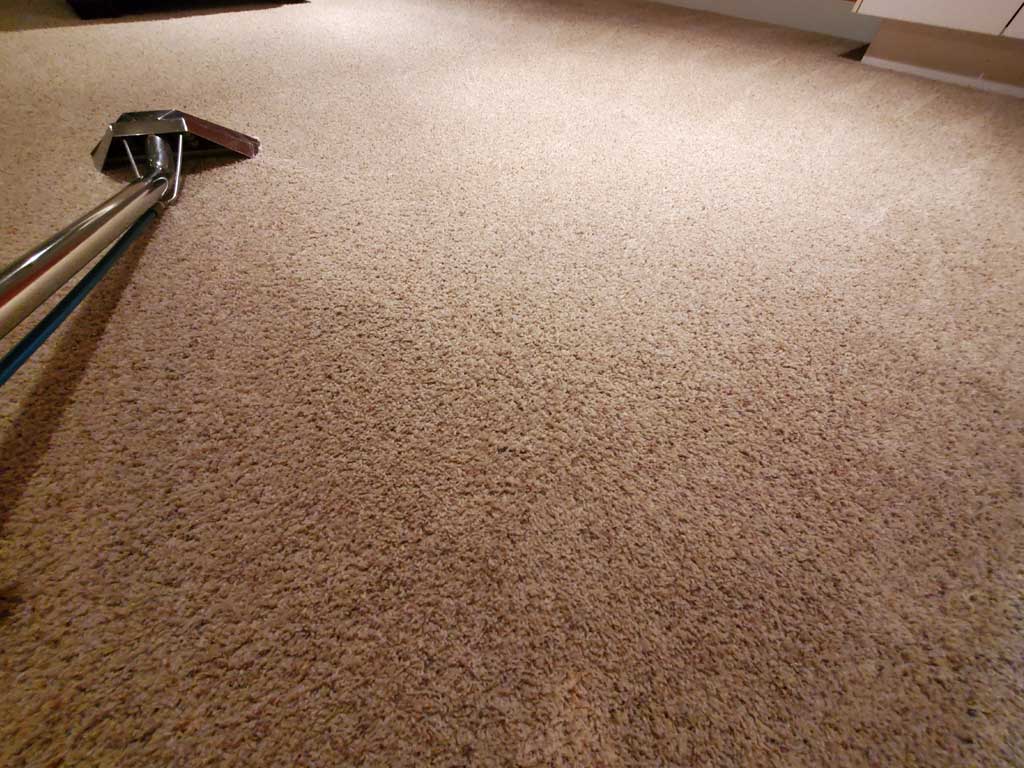 Carpet Cleaning Entertainment Room Basement of a House Surrey BC Canada