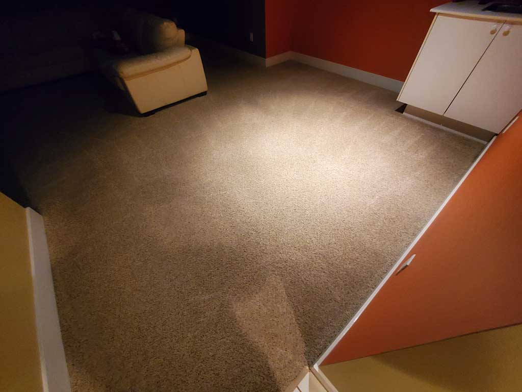 Carpet Cleaning Entertainment Room Basement of a House Surrey BC Canada