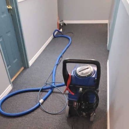 Carpet Steam Cleaning Common Hallways In Coquitlam BC Canada