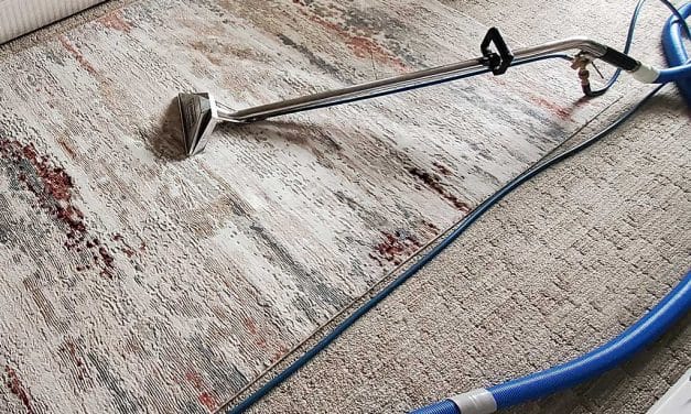 Area Rug Steam Cleaning and Carpet Cleaning of a Condo Located in Langley BC Canada