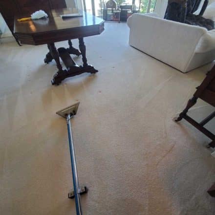 High-rise Concrete Condo Carpet Cleaning Coquitlam BC Canada