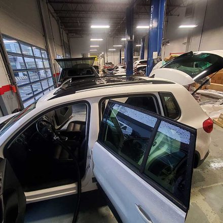 Mold Removal From Interior of Car Port Moody BC Canada