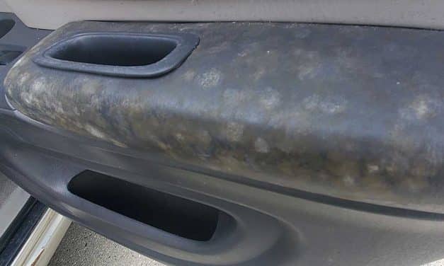 Mold Removal From Interior of Toyota SUV Port Coquitlam BC Canada