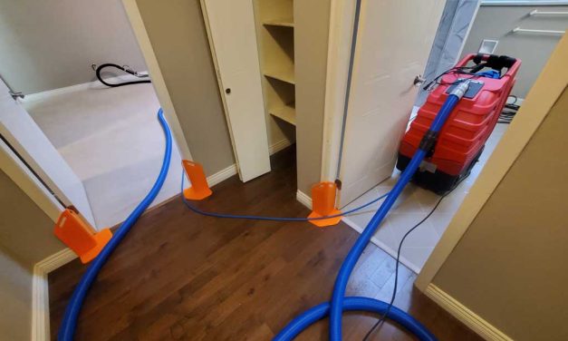 Move-in Carpet Cleaning Upstairs of House and Carpet Cleaning of Basement Located in Coquitlam BC Canada