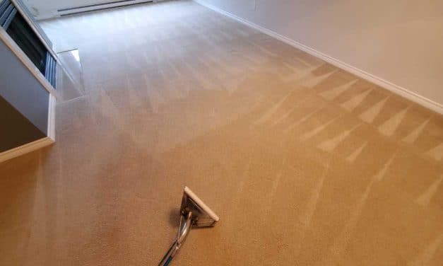 Open-house Carpet Cleaning a Condo One Bedroom Port Moody BC Canada