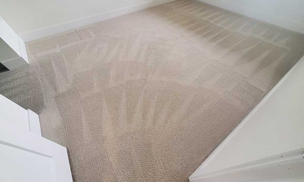 Open-house Carpet Cleaning Move-in Cleaning of a Condo Located in Langley BC Canada