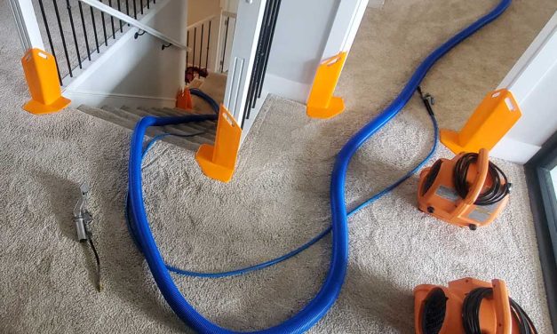 Pet Urine Removal From Carpet in a House Located in Maple Ridge BC Canada