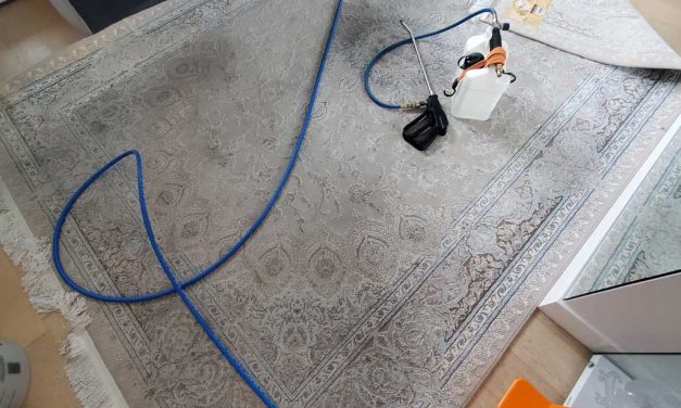 Two Area Rugs Steam Cleaning in a Condo Located in Vancouver BC Canada