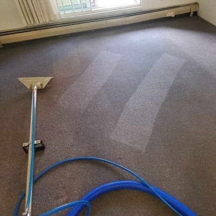 Carpet Cleaning a Condo Located in Vancouver BC Canada Very Dirty Rental Building Never Cleaned for Many Years