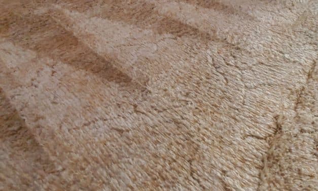 Condo Carpet Cleaning Summer Clean-up Located in Coquitlam BC Canada