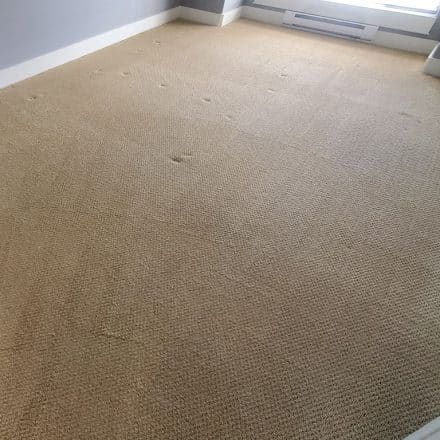 Condo Carpet Cleaning White Rock BC Move Out Carpet Cleaning Service