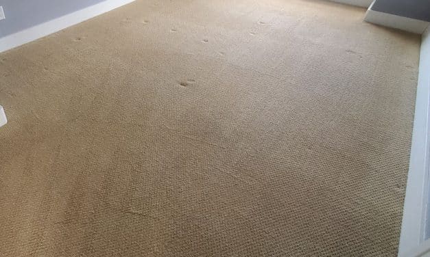 Condo Carpet Cleaning White Rock BC Move Out Carpet Cleaning Service