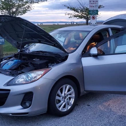 Detailing a Mazda 3 with water damage mold and wood chips steam cleaning leather cleaning exterior hand wash located in Richmond BC Canada