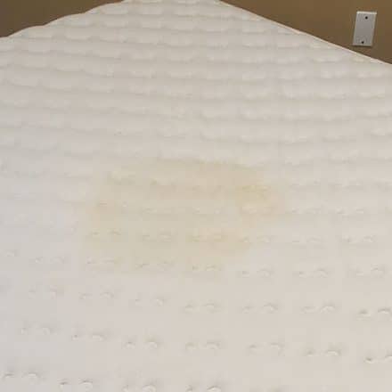 Mattress Spot Removal Rental Property Move Out Cleaning Located in Coquitlam BC Canada