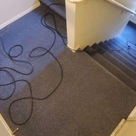 Strata Common Areas Commercial Glue down Carpet Cleaning Hallways Stairs Matts in Coquitlam BC Canada