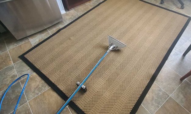 Carpet Cleaning of Bedroom Area Rug Cleaning of Kitchen Hallway Runner and Large Living Room Area Rug Located in Coquitlam BC Canada