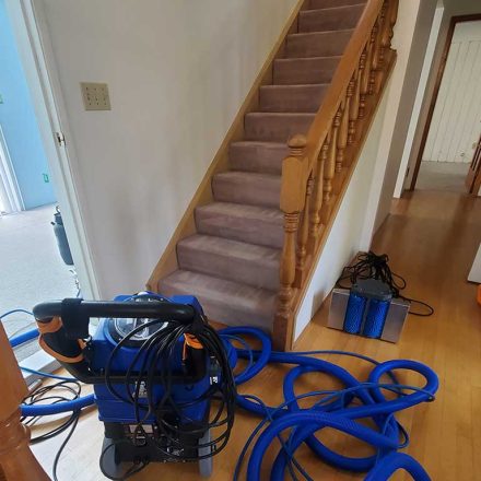 Carpet Cleaning Really Old Carpets in a Rental House Located in Richmond BC Canada