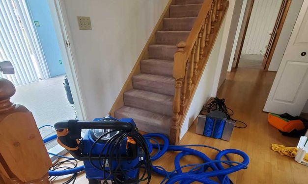 Carpet Cleaning Really Old Carpets in a Rental House Located in Richmond BC Canada