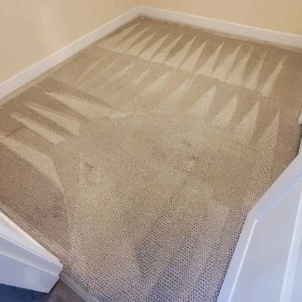 Carpet Cleaning Two Bedrooms for a Rental Property Move-out Carpet Cleaning Located in Burnaby BC Canada