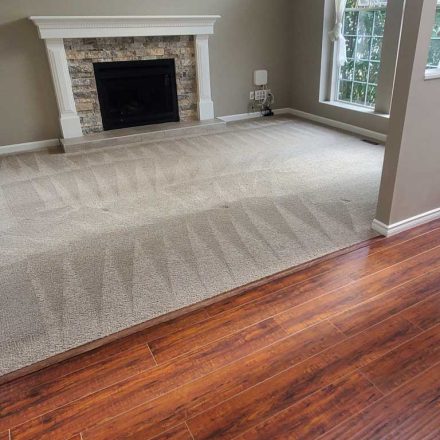 Move Out Carpet Cleaning Up Stairs and Down Stairs After the House was Sold Located in Coquitlam BC Canada