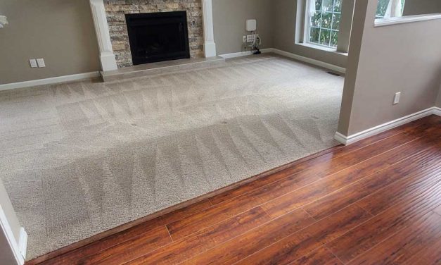 Move Out Carpet Cleaning Up Stairs and Down Stairs After the House was Sold Located in Coquitlam BC Canada