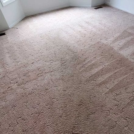 Carpet Cleaning Master Bedroom Carpet Cleaning Second Bedroom Carpet Cleaning Three Closets Carpet Cleaning Walk Though Closet