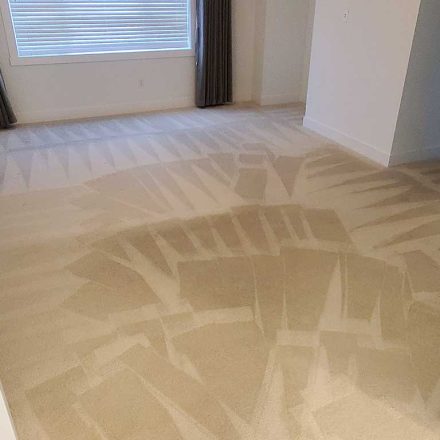 Carpet Cleaning Move in Move Out Cleaning Located in Maple Ridge BC Canada