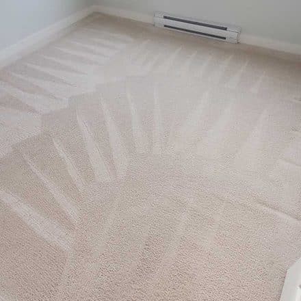 Carpet Cleaning Move Out of a Condo Two Bedrooms Hook and Loop Carpet Located in Burnaby BC Canada