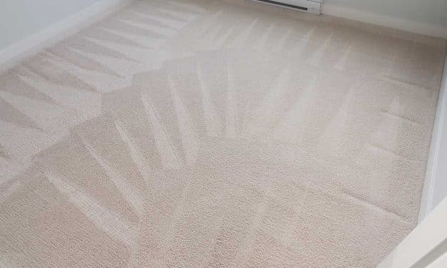 Carpet Cleaning Move Out of a Condo Two Bedrooms Hook and Loop Carpet Located in Burnaby BC Canada