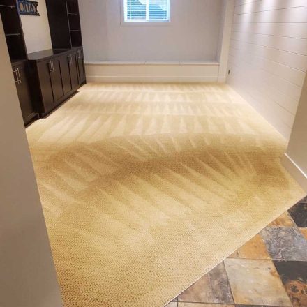 After Renovation Steam Cleaning of Carpet in the basement and Stairs Located in Maple Ridge BC Canada