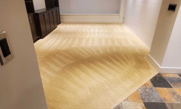 After Renovation Steam Cleaning of Carpet in the basement and Stairs Located in Maple Ridge BC Canada