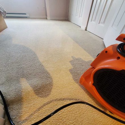 Carpet Cleaning of a Town House Stairs Hallway and Two Bedrooms Located in Richmond BC Canada