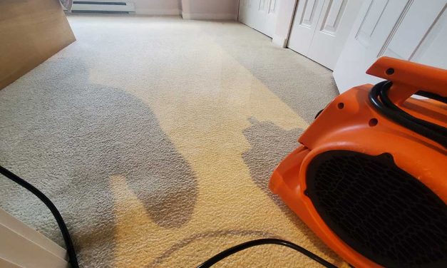 Carpet Cleaning of a Town House Stairs Hallway and Two Bedrooms Located in Richmond BC Canada