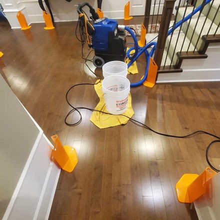 Carpet Cleaning Stairs Hallway Closets Office and Bedrooms Located in White Rock BC Canada