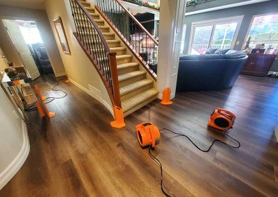 Carpet Cleaning a House With Pet Hair and Damaged Carpets Located in Maple Ridge BC Canada