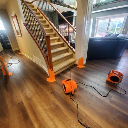 Carpet Cleaning a House With Pet Hair and Damaged Carpets Located in Maple Ridge BC Canada