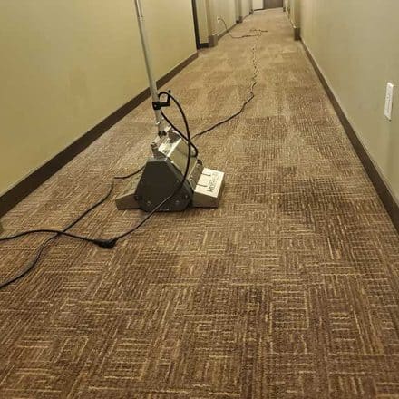 Rental Building Common Area Hallways Carpet Cleaning Located in Coquitlam BC Canada