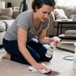 19 Carpet Cleaning Myths Debunked: Best Stain Removal Tips